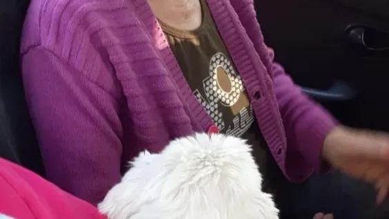 Le vacían la cuenta bancaria a la “Nona Susi”, una jubilada que rescata perros de la calle