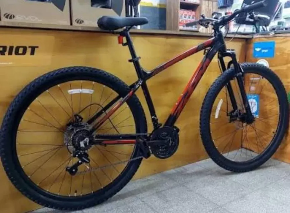 Detuvieron a un joven por robar una bicicleta en la Feria de Capital
