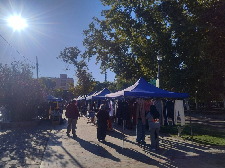 Sin plaza para los feriantes, Amas de Casa apunta a una feria propia en su sede como alternativa