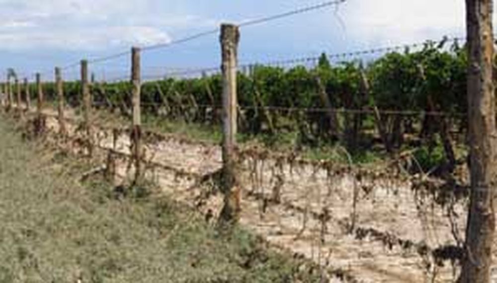 Las fincas de Sarmiento siguen bajo el barro