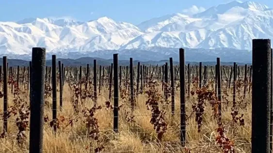 Trasforman desechos plásticos para evitar la tala de 1,5 millones de árboles