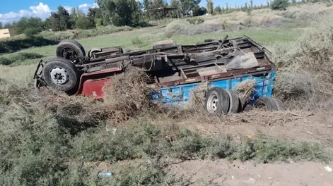 El camión volcó al costado de la ruta. Foto: gentileza Diario El Rey.