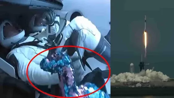 La historia del dinosaurio que llevaron los astronautas del SpaceX