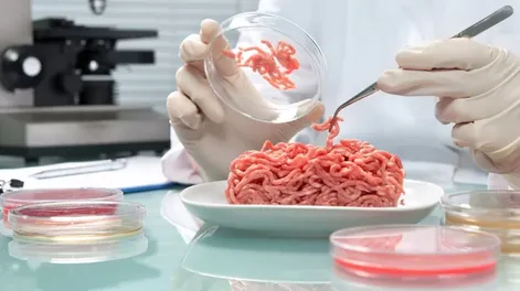 Italia aprobó un proyecto de ley que prohíbe la producción y venta de carne artificial