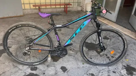 Dejó la bicicleta en la vereda y se la robaron en segundos: el ladrón fue detenido tras huir por Santa Lucía