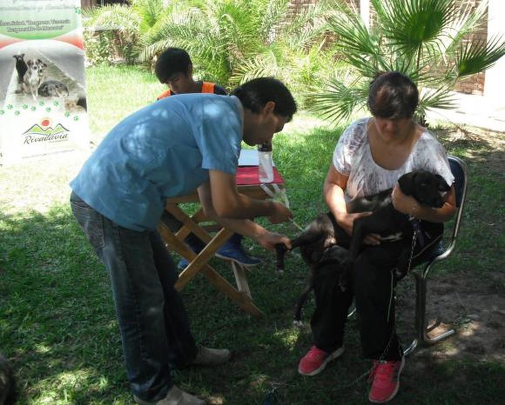 Los quirófanos, a full