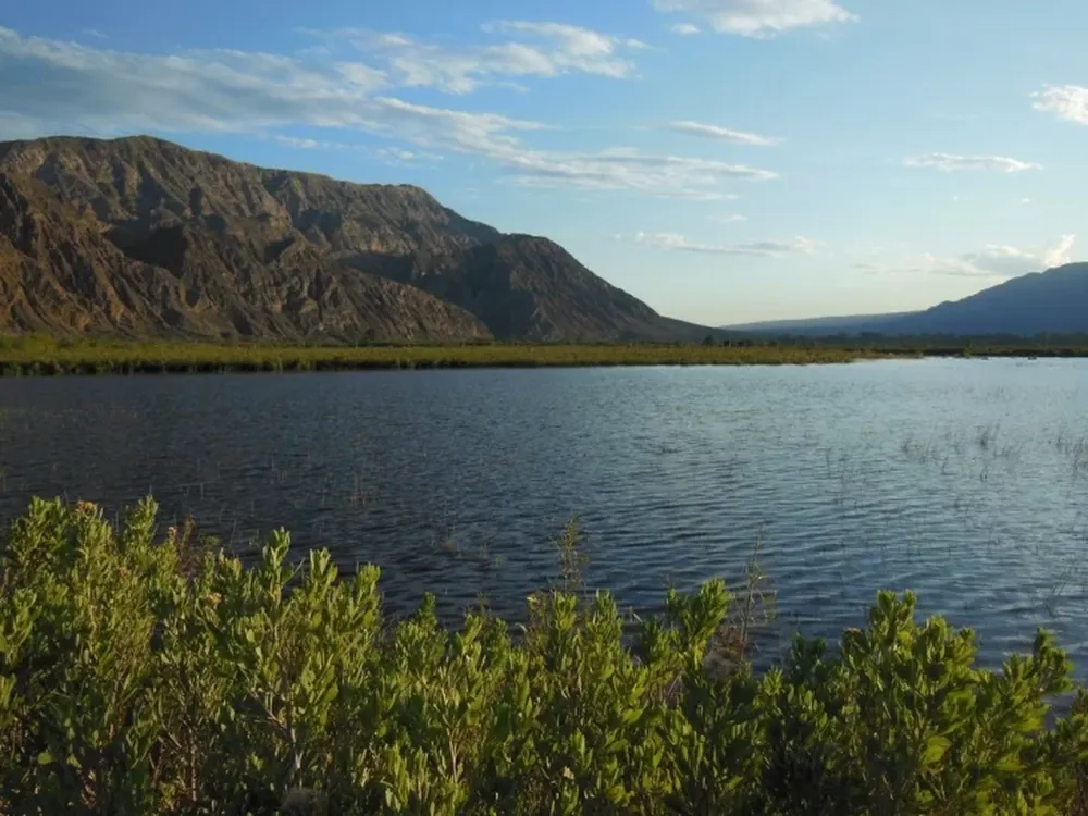 Los humedales sanjuaninos