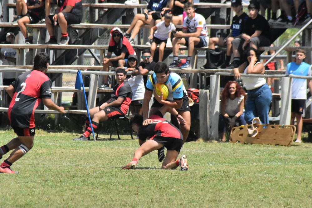 Futuro. Universitario será parte de Los Pumitas con dos productos de su cantera para el Sudamericano.