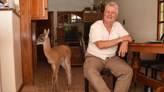 A Tilín finalmente lo trasladaron al Parque Faunístico y dijeron que se quedará a vivir ahí