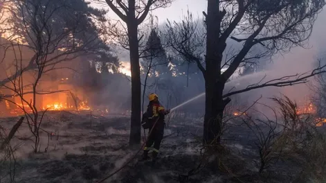 El Gobierno declaró organización terrorista a la RAM acusada por los incendios en la Patagonia