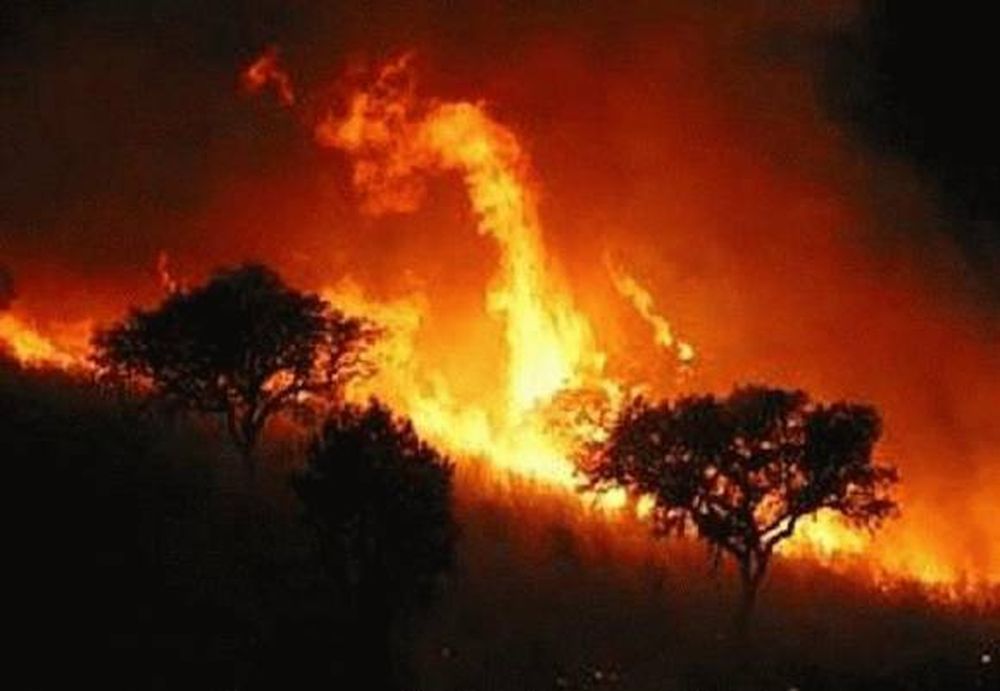 Por incendios forestales, evacuaron a 500 personas en Las Hurdes