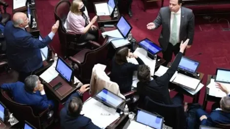 Dos senadores casi se van a las piñas en el Congreso