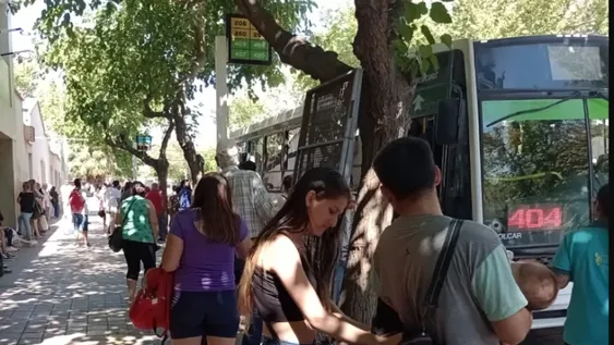 Ante quejas por las demoras de los micros aseguran que analizan cambios constantemente