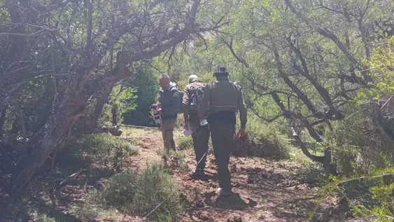 Trabajo de campo. Personal de la Dirección de Bosques Nativos, de la Secretaría de Ambiente, recorrió el bosque de chacay en toda su extensión para corroborar su estado vegetativo.