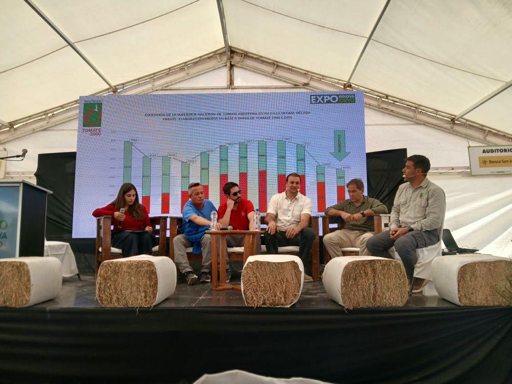 Con la evolución de la superficie nacional proyectada en pantalla, productores, semilleros e industriales debatieron en Expo Innova Cuyo el horizonte del tomate para industria.