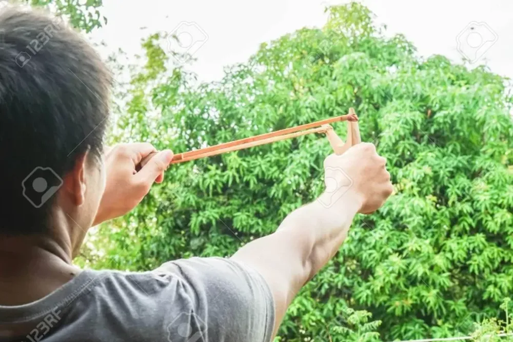 ME CONCENTRÉ y solté de entre mis dedos, casi por impulso, el blando cuero de la honda que contenía la piedra.... 
