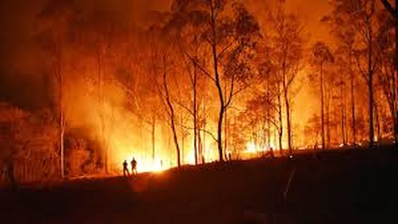 La NASA seleccionó un proyecto de jóvenes argentinos para controlar incendios forestales con tecnología