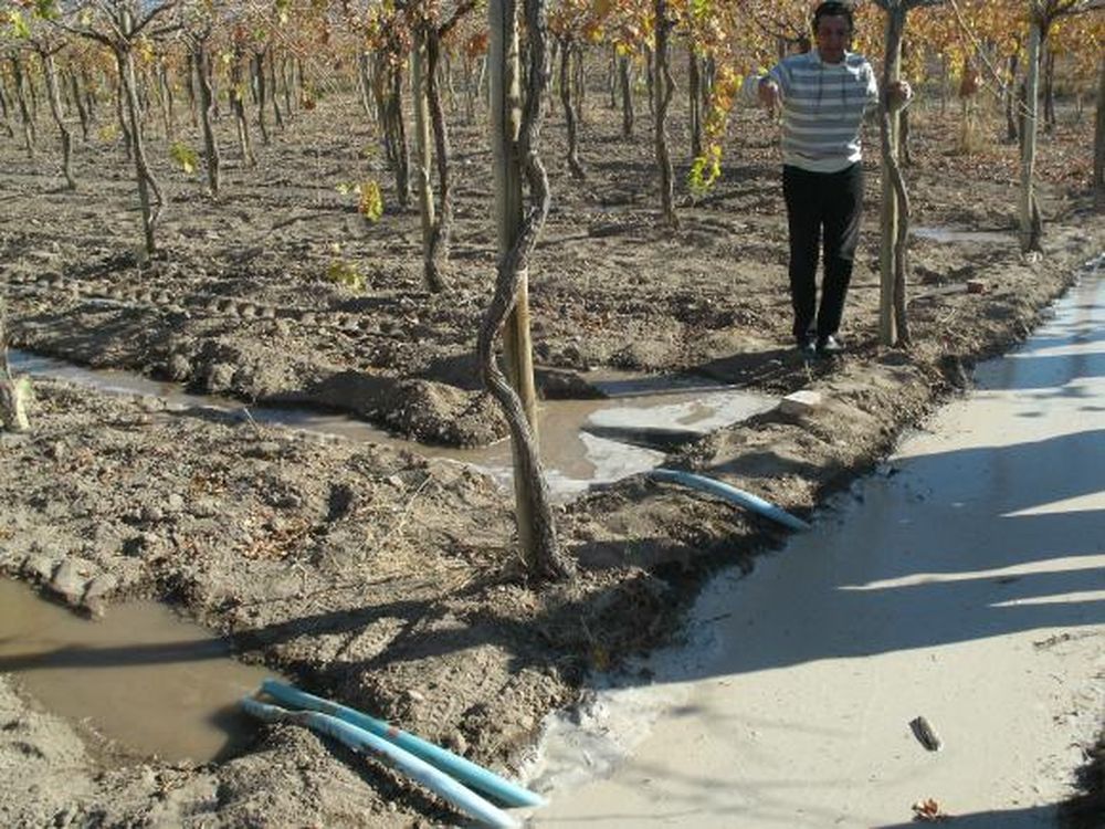 Buenas prácticas para lograr uso eficiente de riego en vid