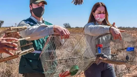 Liberaron casi 100 aves de distintas especies que habían sido rescatadas en operativos