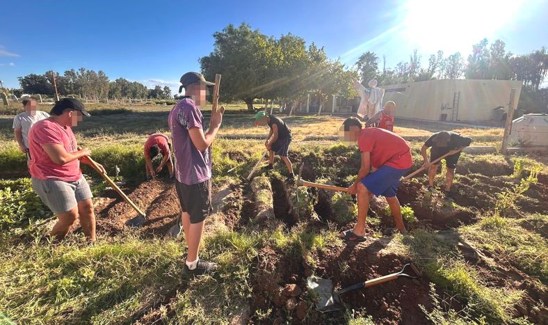 Con el trabajo en la huerta, los chicos con problemas de adicción que conviven en Proyecto Juan refuerzan su rehabilitación.