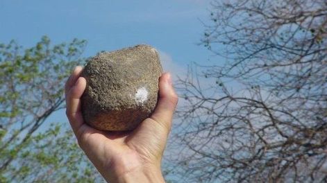 Tierra de nadie en una zona de Rawson: vecinos denuncian batallas campales y que la policía no hace nada