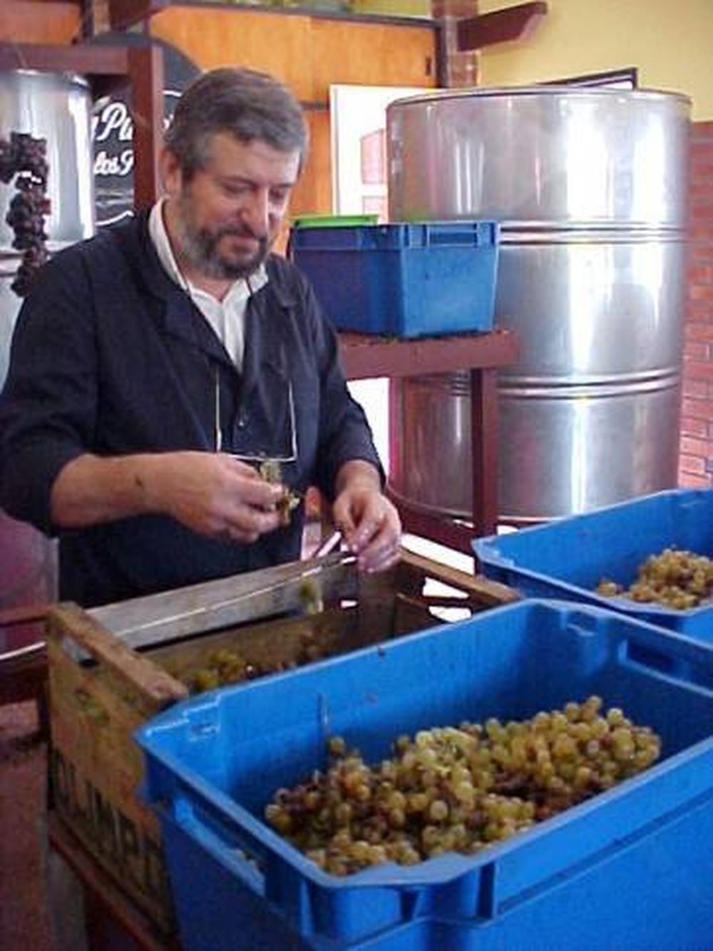 Registro de Elaborador de Vino Artesanal