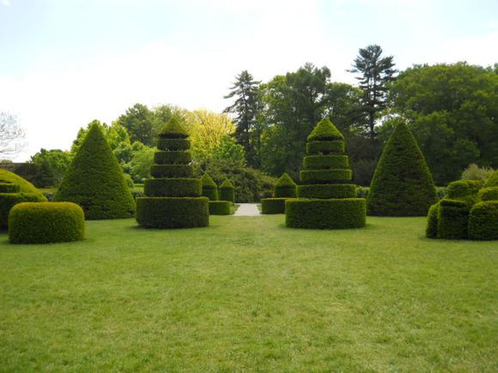 Esculturas verdes