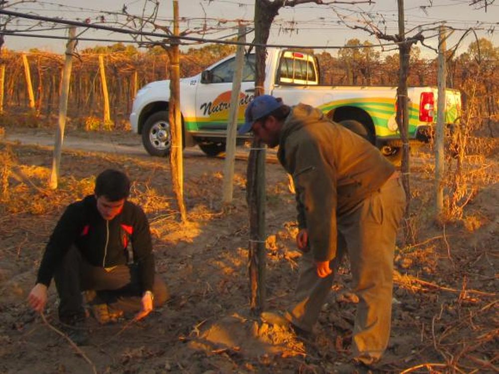 Técnicas para preservar y conservar el suelo agrícola