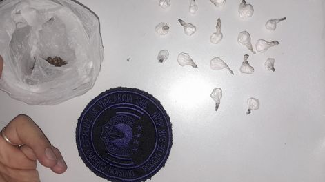 Hallaron la droga durante un operativo de rutina.