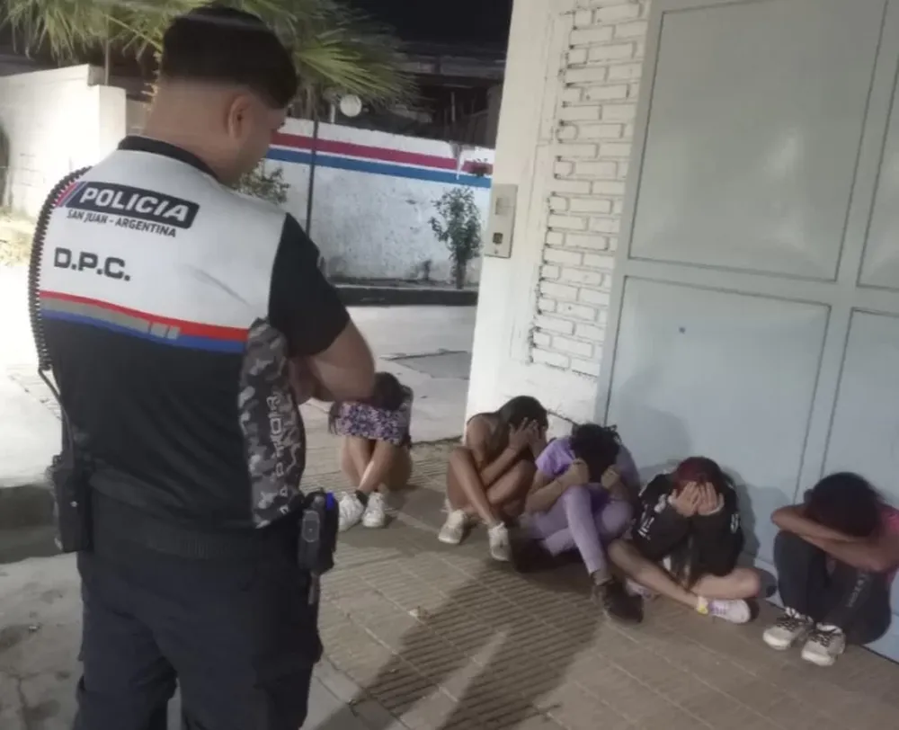 Seis menores, de entre 13 y 16 años, se dedicaban a robar en el Parque de Mayo