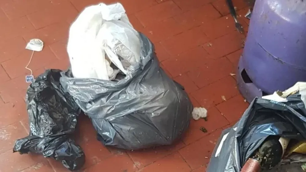 Dio a luz en el baño de su casa y tiró al bebé en una bolsa