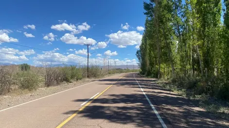 Motociclista sufrió fractura luego que fuera encerrado por dos caballos: los jinetes no lo auxiliaron