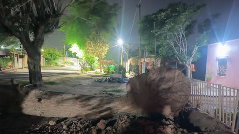 tras las rafagas de hasta 90 km/h en san juan, bomberos trabajaron intensamente para remover arboles y ramas caidas