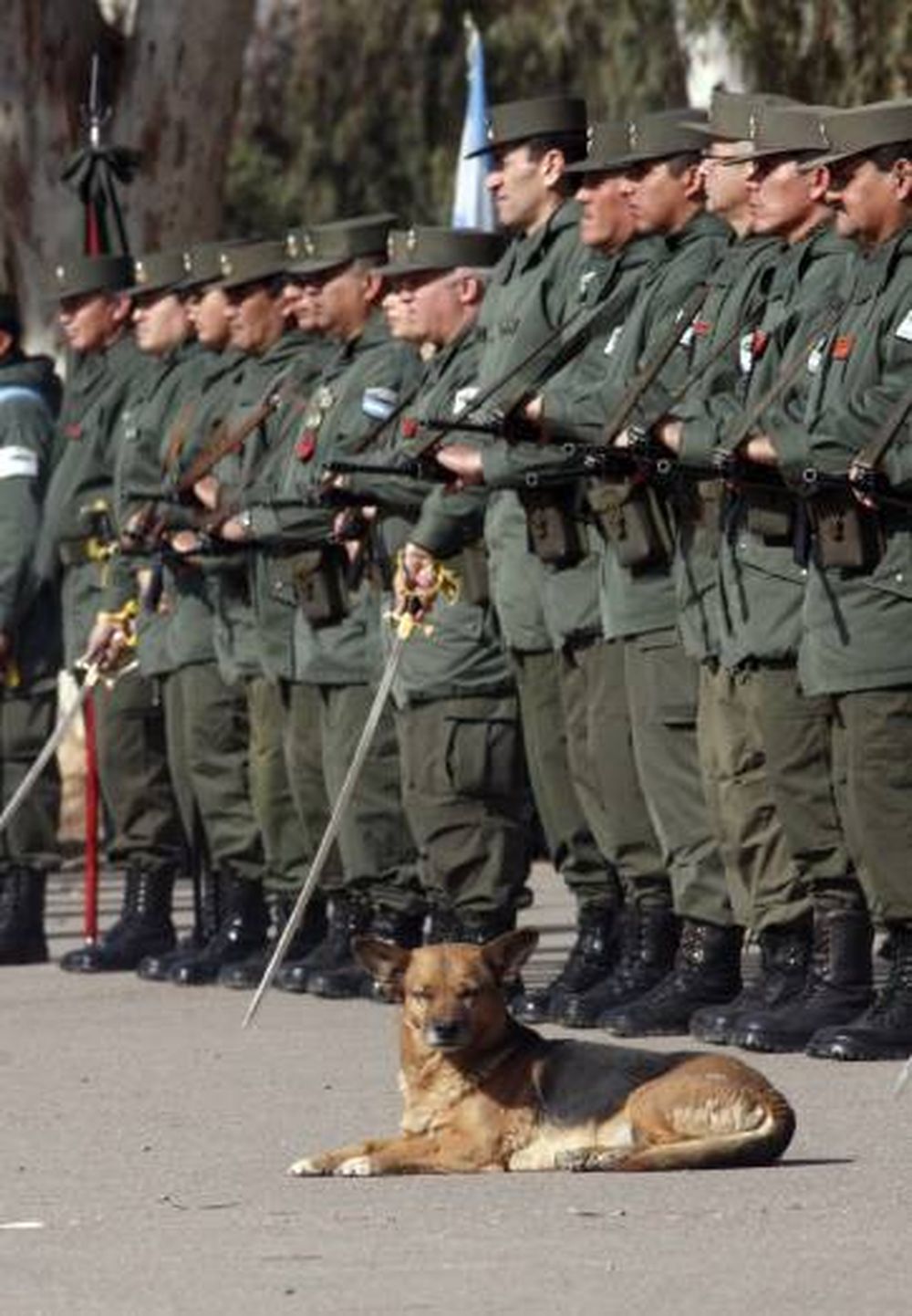 Gendarmería adquirió más motos para el control vial