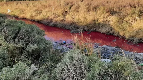El agua de un desagüe se tiñó de rojo y Ambiente investiga los motivos