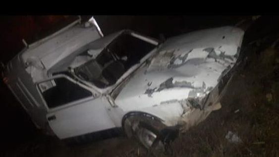 Un utilitario volcó al chocar con 2 caballos que murieron: los encontraron mutilados