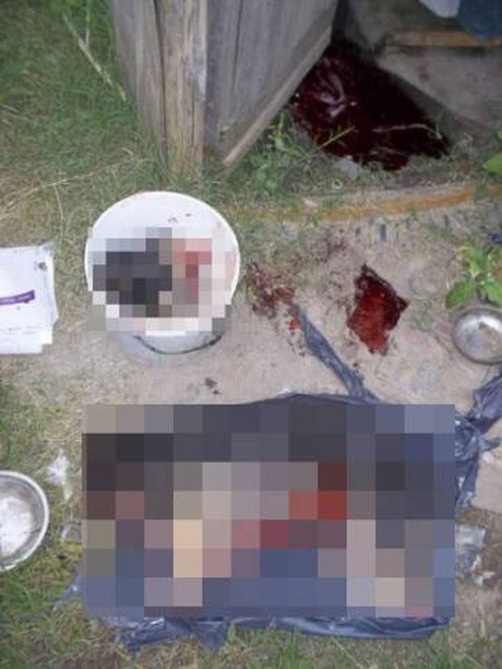 Buenos Aires: mataba perros y vendía la carne a un restaurante