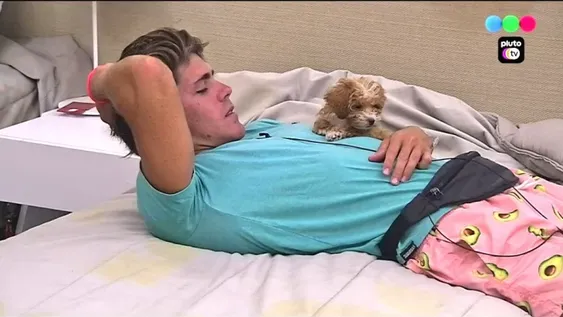 Qué pasará con los perritos que adoptaron y por qué abandonarán la casa de Gran Hermano