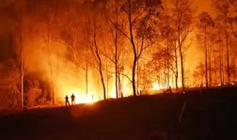 Una variación genética de la testosterona explicaría cuadros más graves en hombres