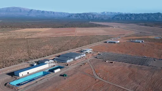 En 10 días estarían los permisos para usar el cannabis sanjuanino