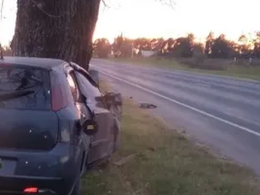 Manejaba un auto, perdió el control y chocó con un árbol: fue hospitalizado