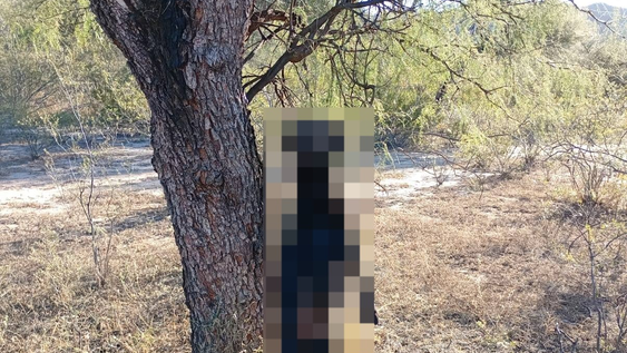 Denunciaron un aberrante caso de maltrato animal.