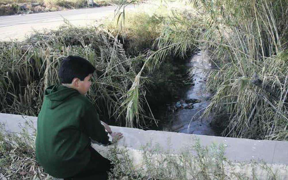 El canal del olor y la basura