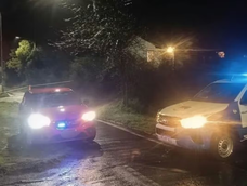 crimen de una nena de 3 anos en villa la angostura: que se sabe y cual es la principal hipotesis