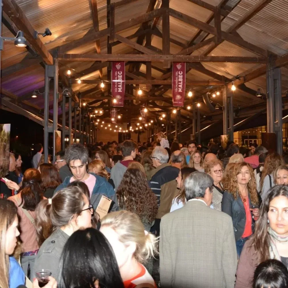 Gobierno prepara eventos en San Juany Buenos Aires para frenar la caída del consumo de vino