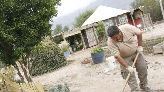 INTA hará una muestra donde los alumnos hasta podrán esquilar ovejas