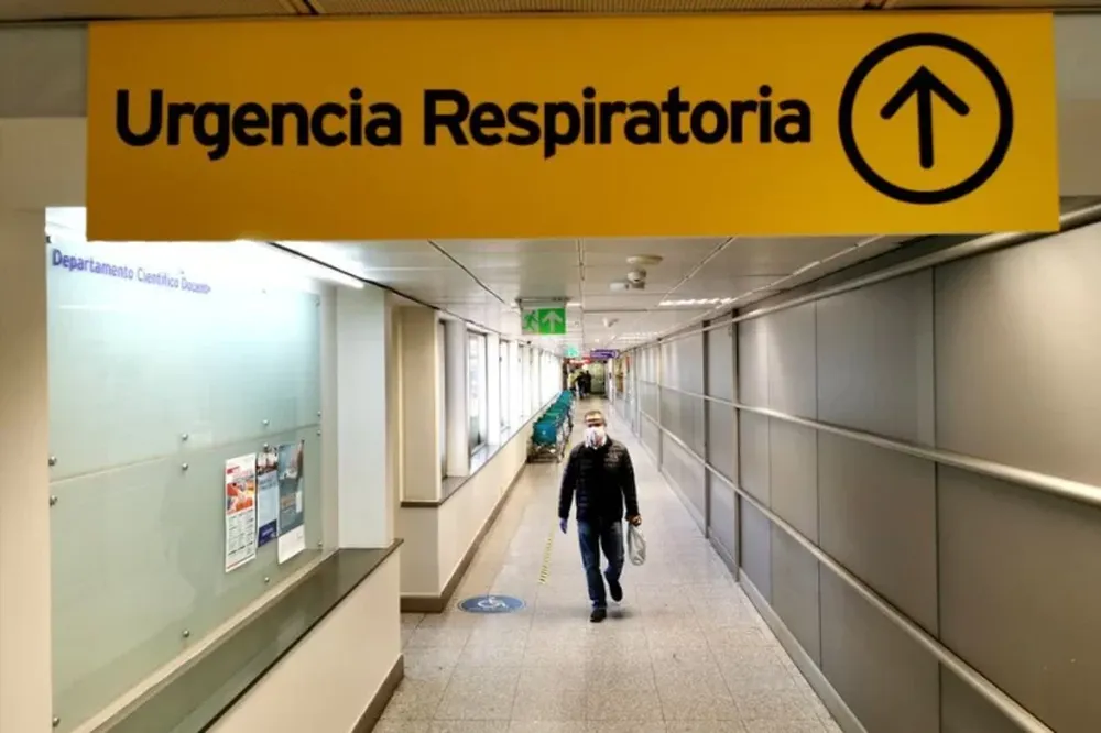 Argentina cerró la semana sin nuevos casos de influenza aviar