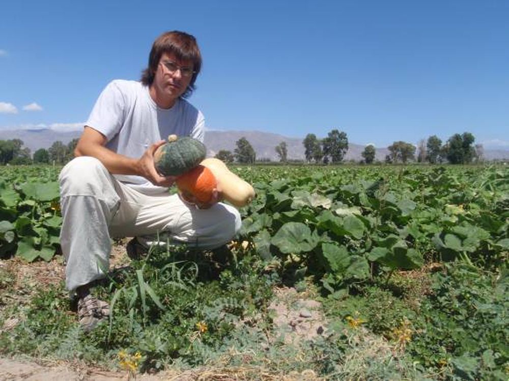 Fertilizantes líquidos a medida