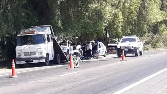 Un norteamericano se salvó de milagro luego de que una gran rama cayera sobre su auto