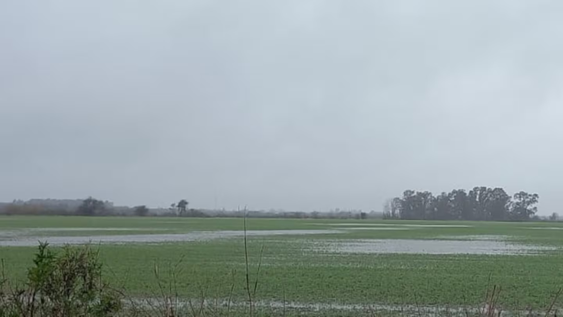 El fenómeno se caracteriza por un aumento de la temperatura de la superficie del océano en el centro y el este del Pacífico ecuatorial.